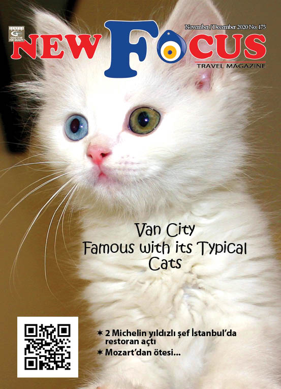 New Focus Travel Magazine Nov-Dec2020